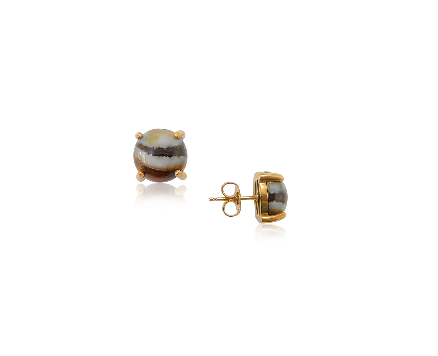 Gold Prong Fossilized Earrings