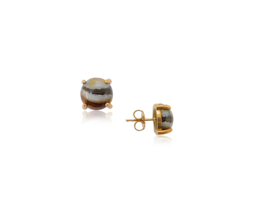 Gold Prong Fossilized Earrings