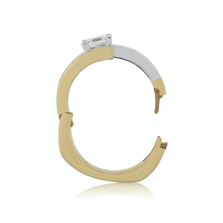 Custom Arthitic Shank