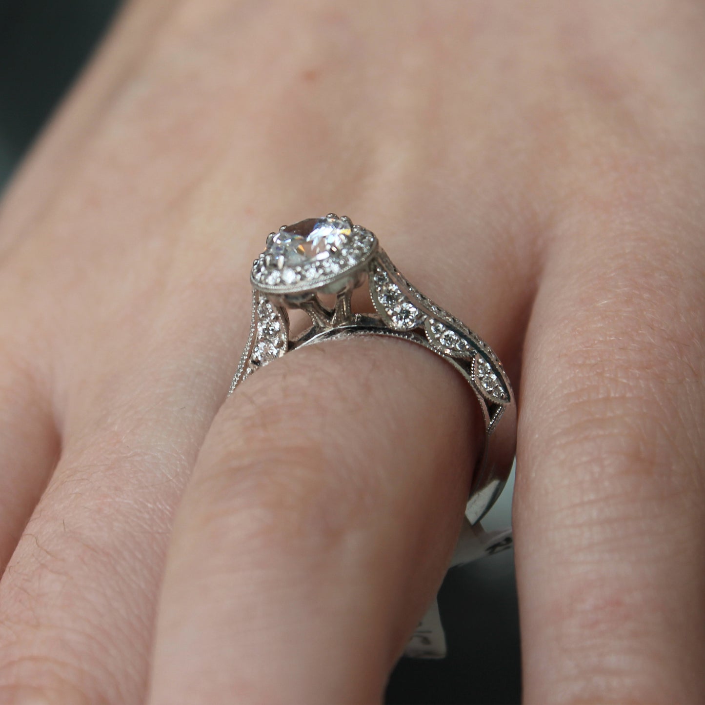 Detailed Halo Diamond Semi Mount Ring