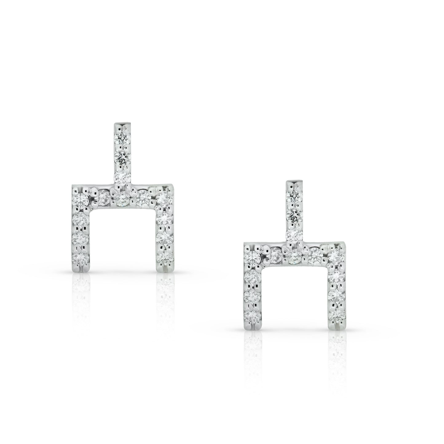 Cattle Brand Earrings