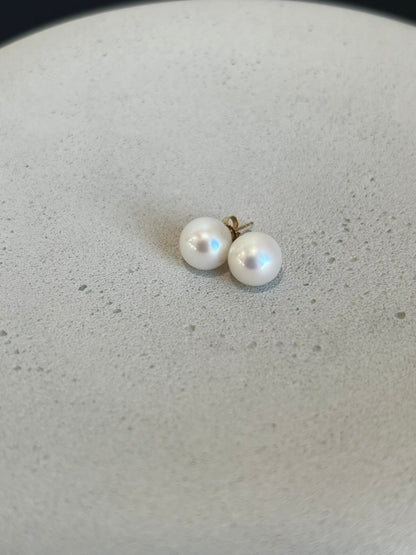 South Sea Pearl Studs