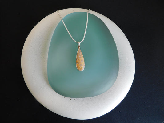 Fossil Coral Pendant