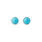 Turquoise Bezeled Earring Studs