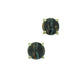 Black Fossilized Woolly Mammoth Studs