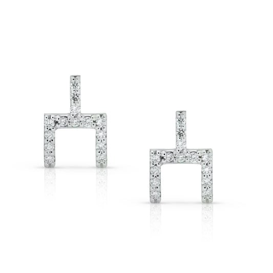 Cattle Brand Earrings